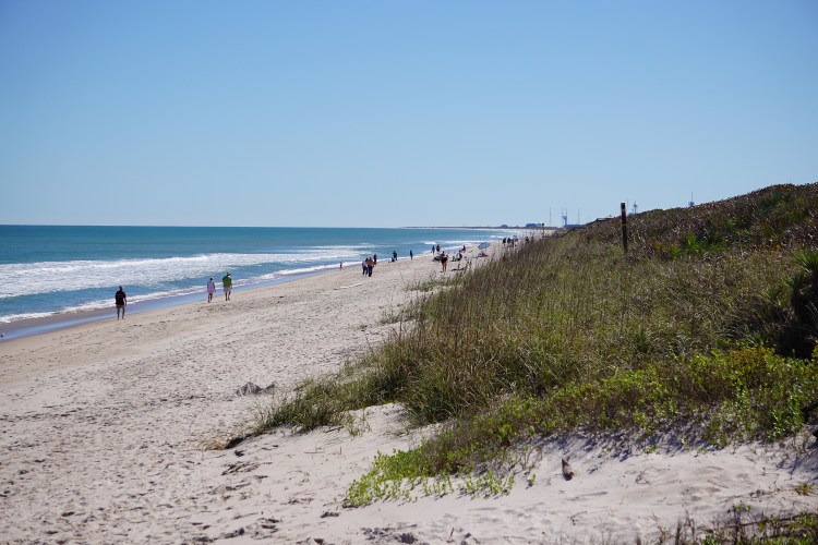 2016-2-12 SRS birds 071 beach nwr