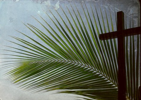 Palm Sunday photo