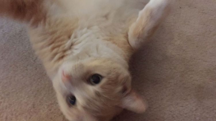 Aug. 14, 2016 slides  09.047