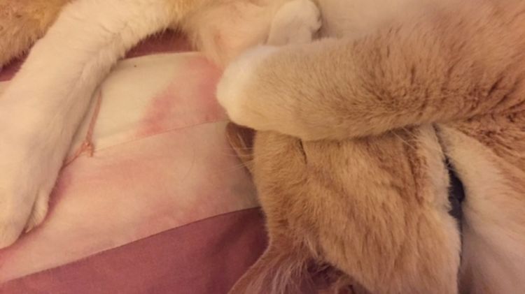 Aug. 14, 2016 slides  09.048