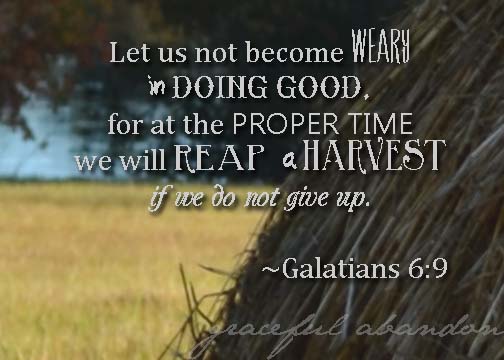 galatians-6-reap-harvest-doing-well-weary